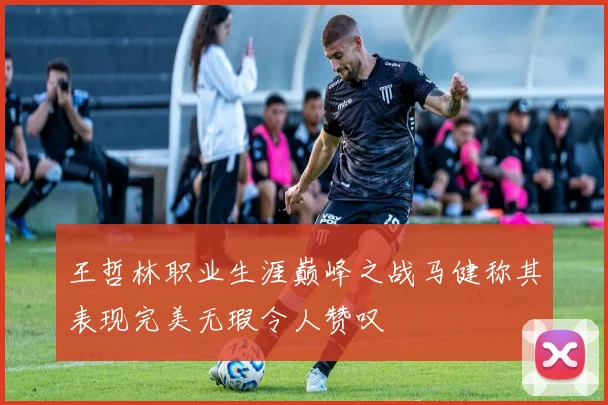 王哲林职业生涯巅峰之战马健称其表现完美无瑕令人赞叹